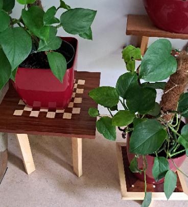 Planten-tafel